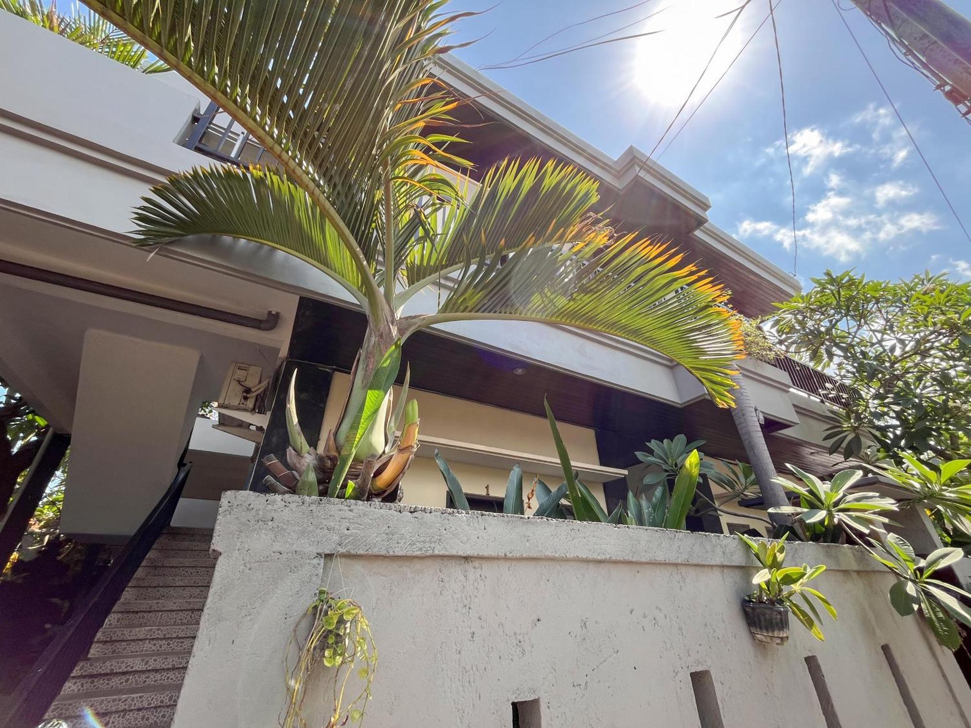 Adi Surya Guest House 塞米亚克 外观 照片